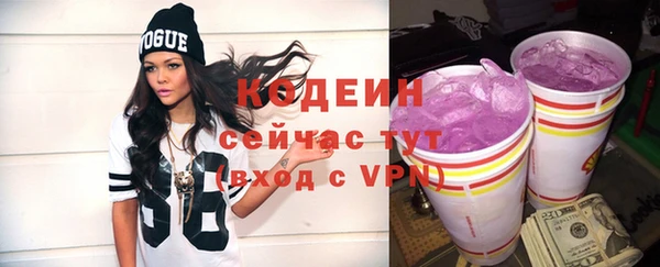 mdpv Бородино