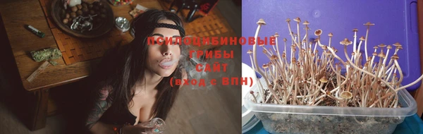 МДПВ Богородицк