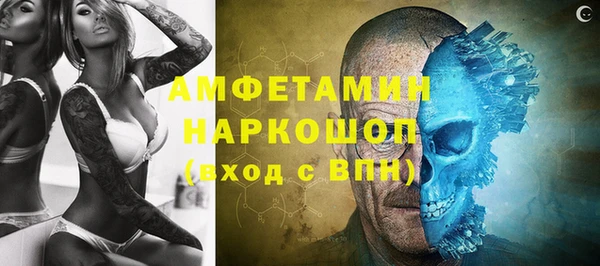 mdpv Бородино