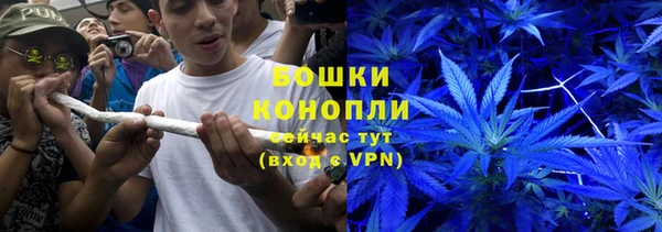 гидропоника Богородск