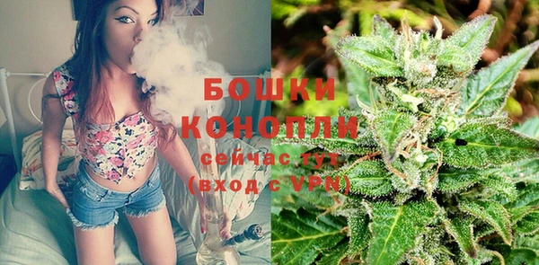 гидропоника Богородск