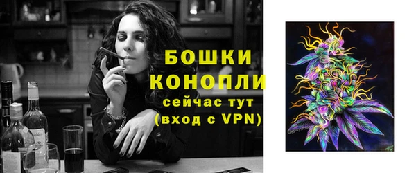 МДПВ Богородицк